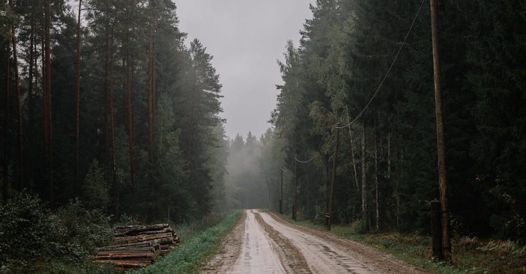 🔍 Les Meilleurs Granulés de Bois Guide Essentiel pour un Chauffage — free download