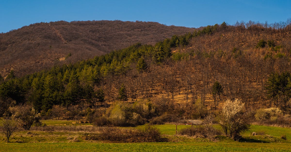 découvrez notre silo à granulés de bois, conçu pour stocker vos pellets de manière optimale. garantissez une conservation parfaite tout en facilitant l'approvisionnement de votre système de chauffage. optez pour une solution efficace et écologique pour votre confort.