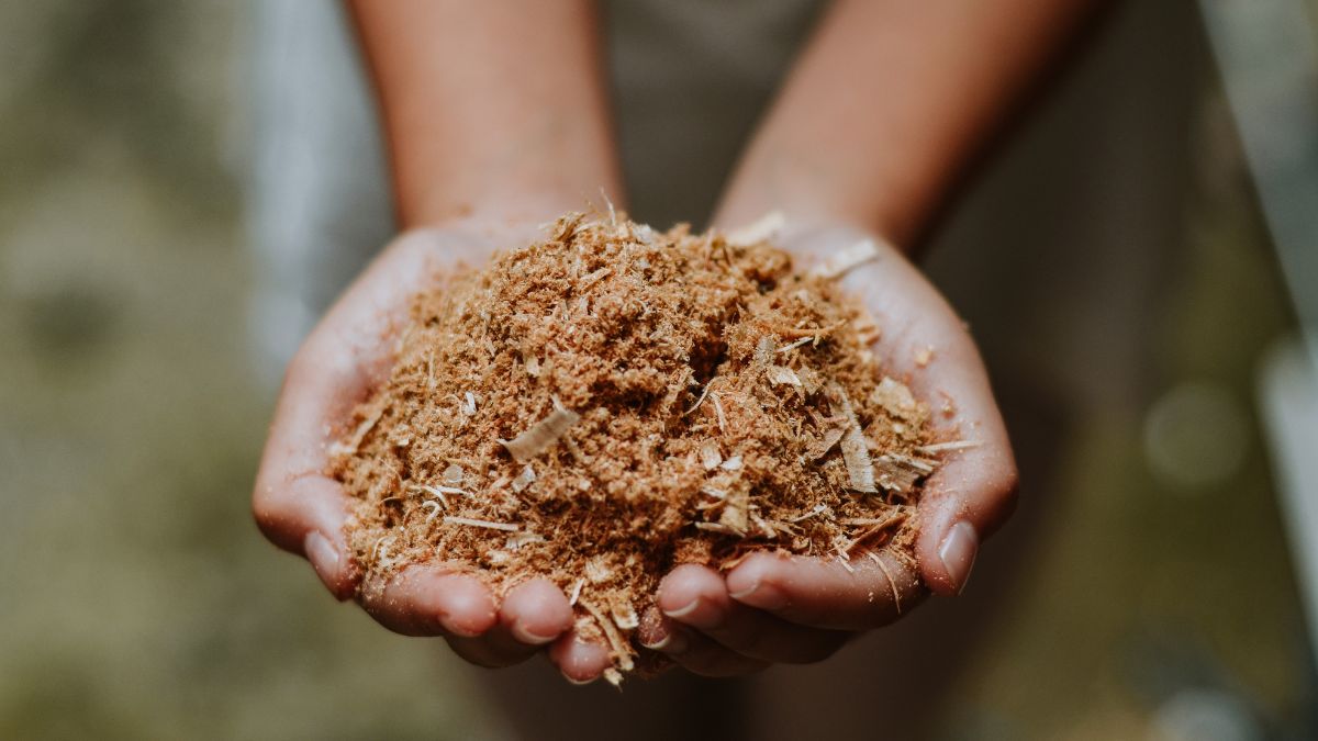Broyat pellets